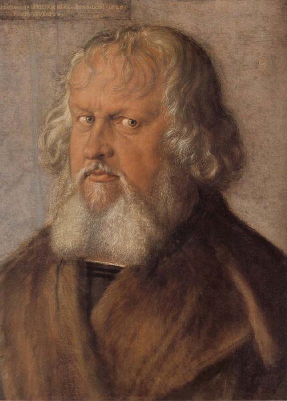 Albrecht Durer Hieronymus Holzschuher oil painting image